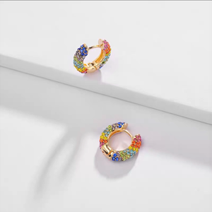 Krysia rainbow earrings